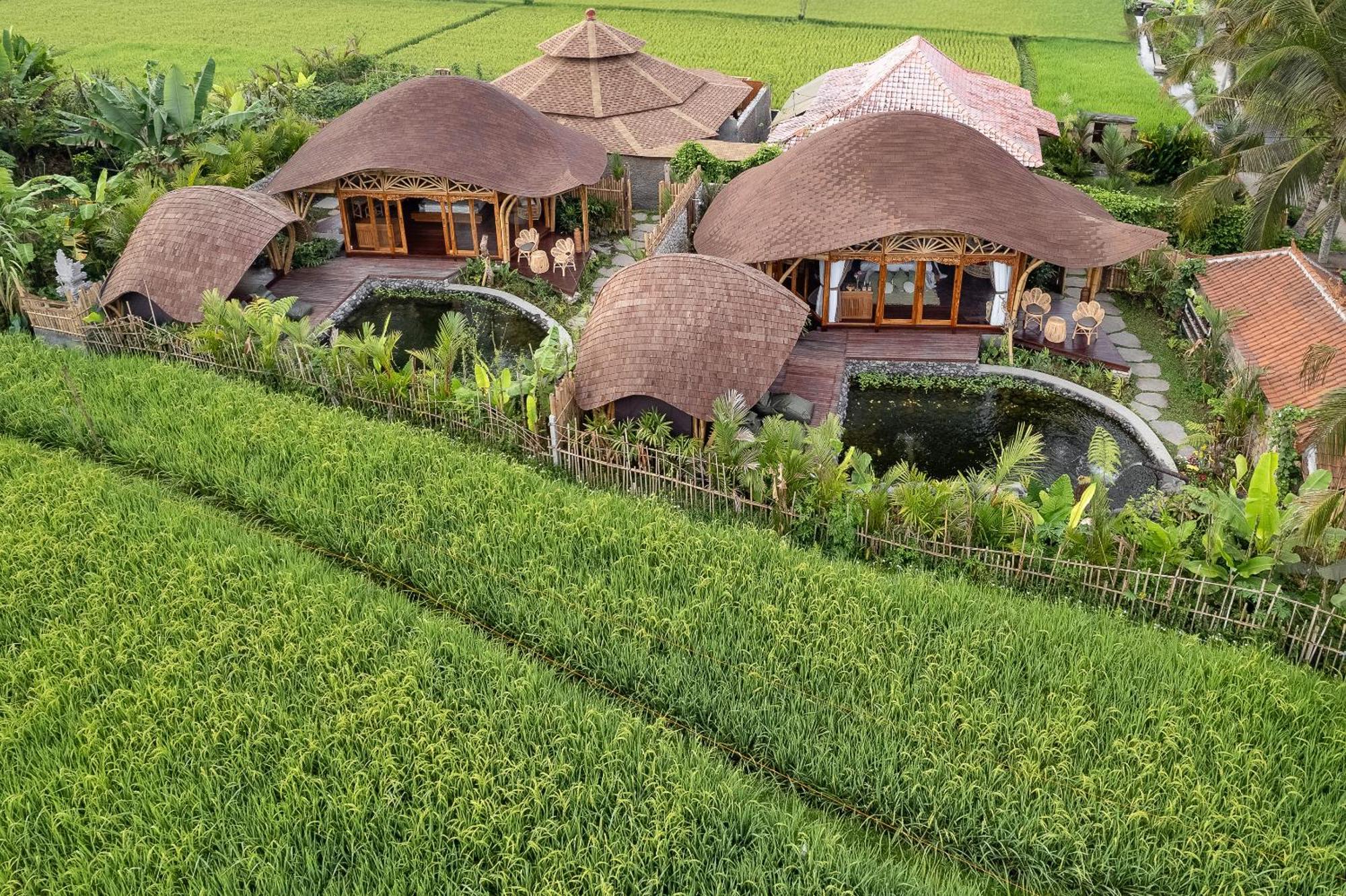 Arapan Ubud Eco Villa Dış mekan fotoğraf