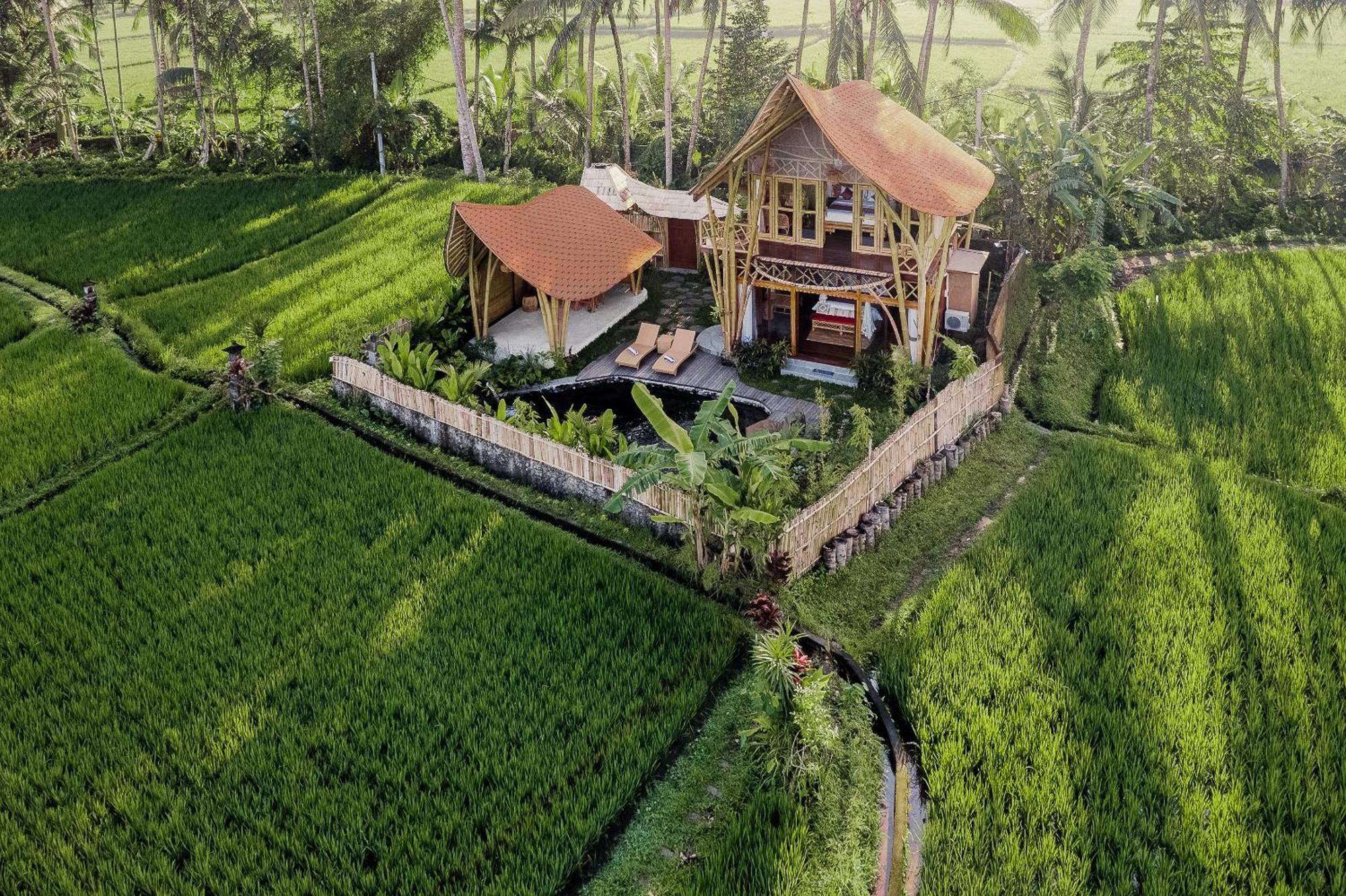 Arapan Ubud Eco Villa Dış mekan fotoğraf